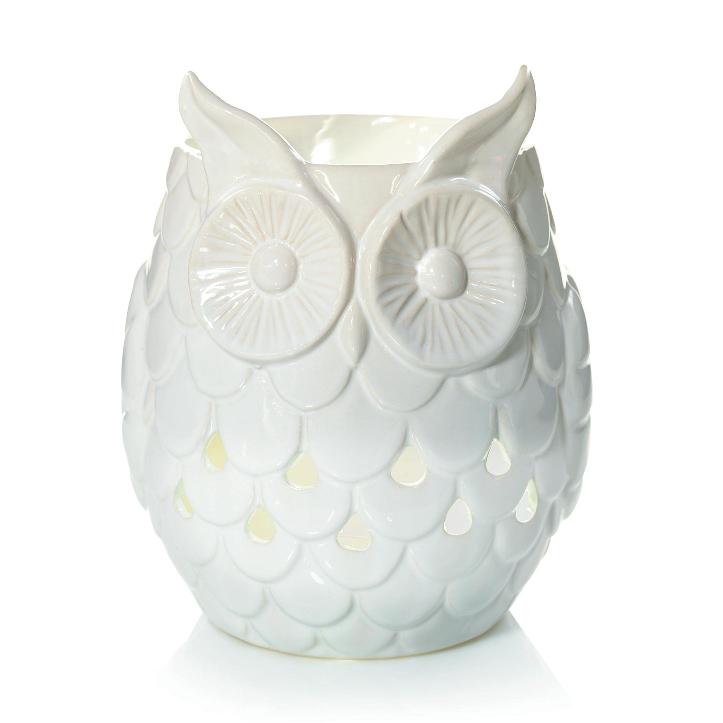 Owl (S3HNR)