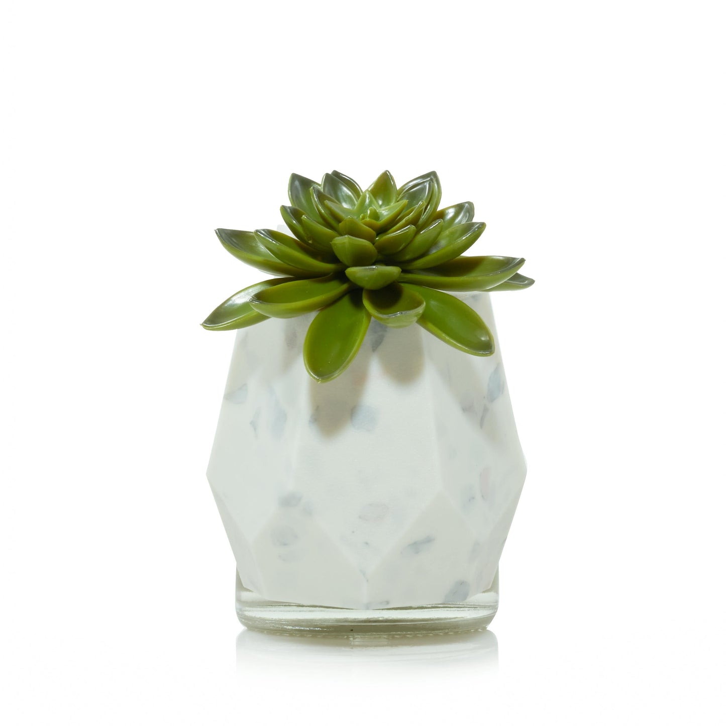 Faceted Succulent ScentPlug® Diffuser with Light (S3TT7)